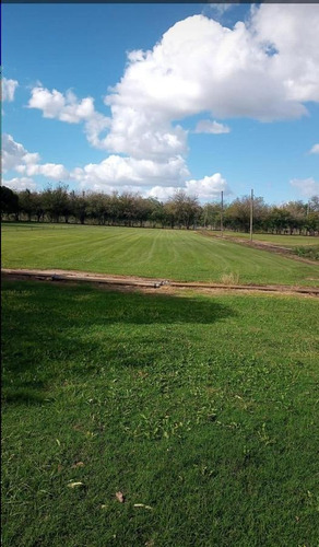 Imagen 19 de 26 de Exclusiva Fracción Ideal Desarrollo Inmobiliario - Zona De Alto Crecimiento