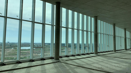 Imagen 5 de 21 de Alquiler De Oficina De 250 M2 En Nordelta