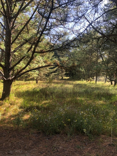Imagen 10 de 12 de Venta De Terrenos En Amealco De Bonfil, Querétaro