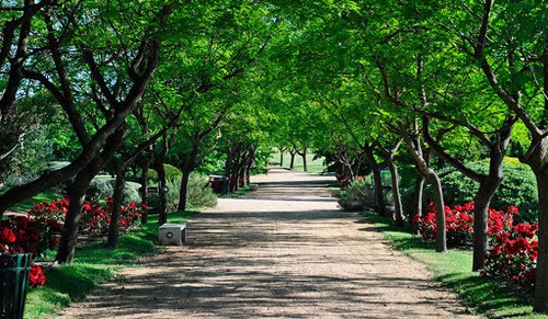 Parcela En Parque Del Recuerdo