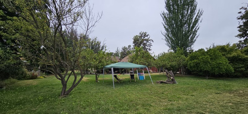 Acceso 5 Sur, Buin Zoo, Buin