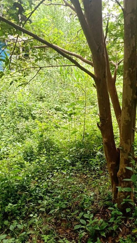 Chácara De 35.000m Tendo Uma Casa Simples