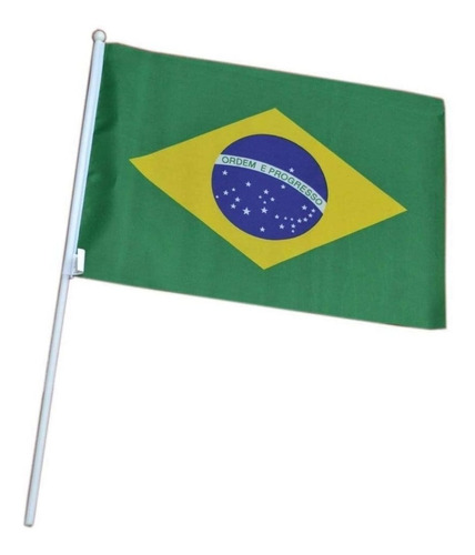 Bandeira Brasil Pequena 14x21 Cm Com Haste - Classe