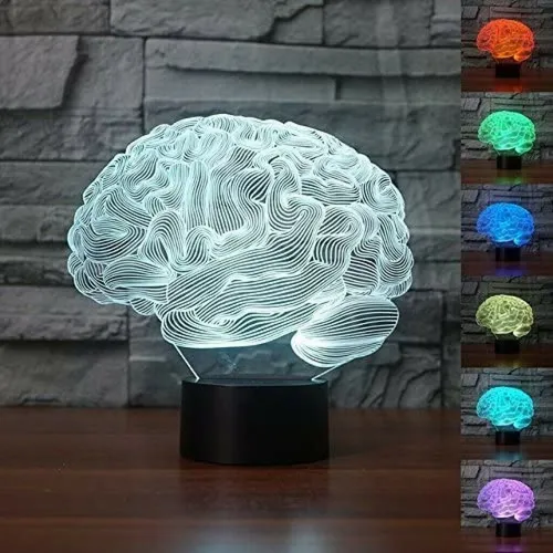 A 0x Decoraciones De Halloween 3d Cerebelo Humano Mod 3622