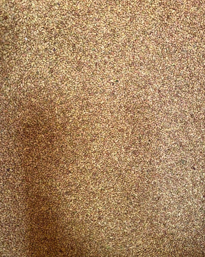 Semilla De Alfalfa San Miguelito (criolla) 40 Kg