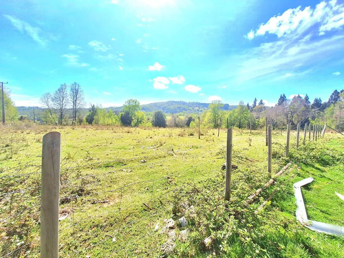 Panguipulli Venta De Lotes Sector Los Tayos