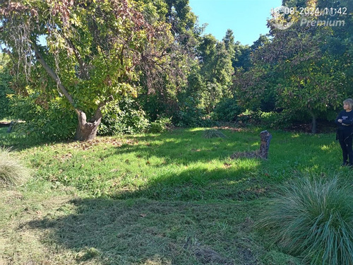 Parcela En Venta En San Felipe