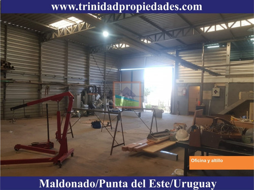 Imagen 6 de 13 de Depósito Y Galpón En Venta