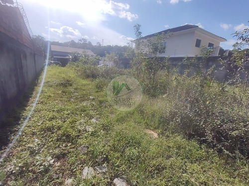 Imagem 12 de 15 de Terreno A Venda No Bairro Ponta Negra, Manaus Am - Te00061 - 69918347