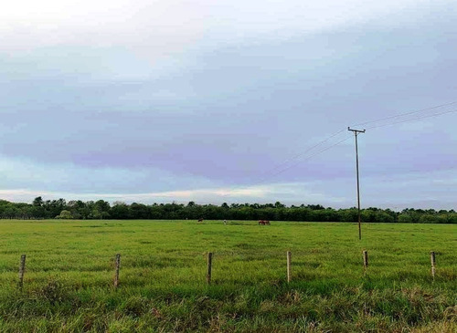 Imagen 14 de 14 de Fabulosa Finca En Maturin