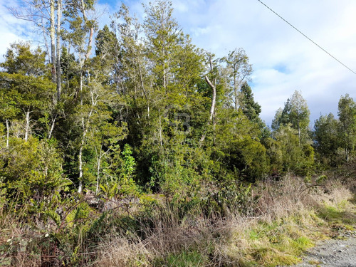 Parcela En Venta - Lomas De Monte Verde