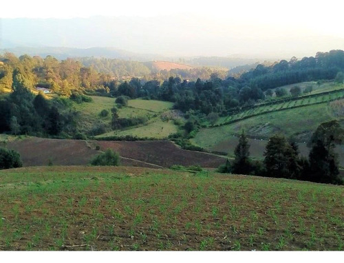 Imagen 1 de 5 de Terreno En Venta