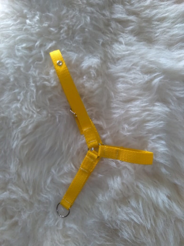 Cabresto De Mini Pônei