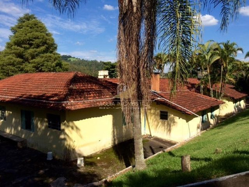 Imagem 23 de 25 de Para Você Ficar Em Contato Com A Natureza! Sítio Rural À Venda, Jardim Seabra, Amparo. - Si0004