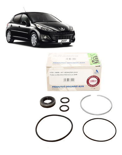 Reparo Bomba De Direção Dhb Peugeot 206 1.0 1.4 2002...