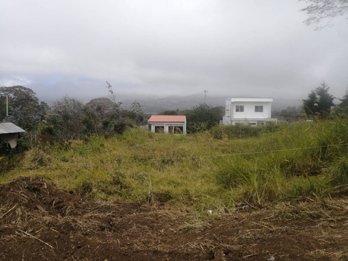 Imagen 3 de 11 de Se Vende Lote 314m2 En Sto Domingo X Ruta 32 - Residencial/comercial