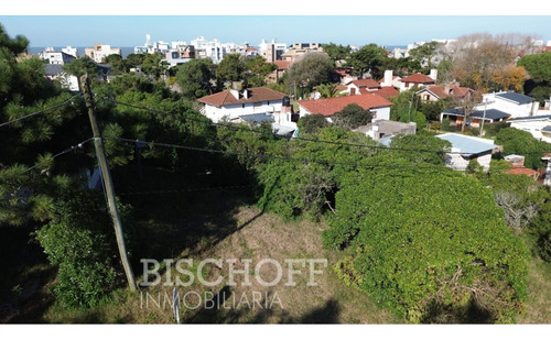 Venta De Lote En Ostende Calle Moreno