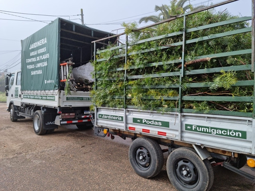 Empresa De Jardineria Podas Fumigaciones Verdisor!