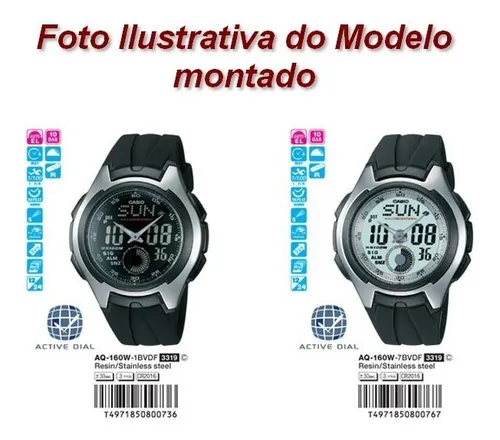 Casio 3319 2025