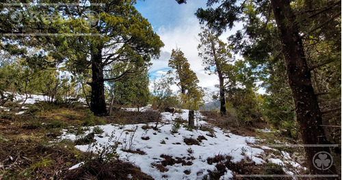 Lote En Venta En Bariloche, Arelauquen Golf Country Club- Vista Lago Y Cerros