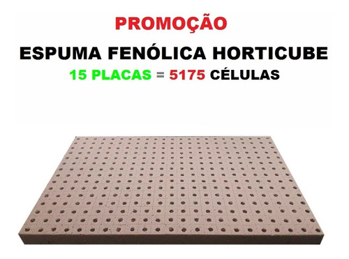 Espuma Agricola Horticube 2 X 2 X 2cm Furo Rúcula - 15placas