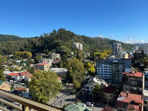 Amplio Departamento A Pasos De La U. De Concepción