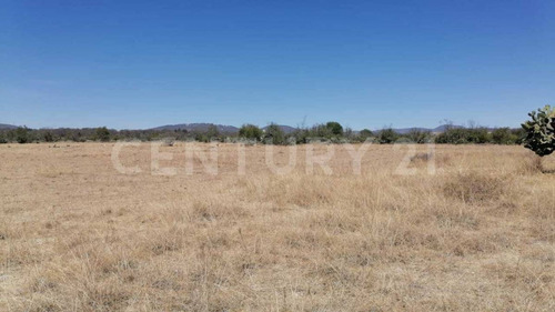 Terreno En Venta, En Poblado Palos Altos, Soyaniquilpan Jilotepec, Edo. Méx.
