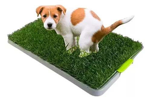Baño Ecológico Sanitario Mascotas Talla M