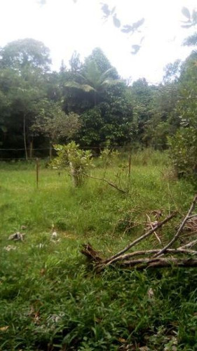 Terreno De Chácara Desmatado No Bopiranga - 3951 | Npc