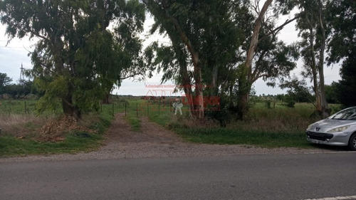 Imagen 5 de 11 de Venta, De Importante Fracción De Campo Sobre Ruta Prov. 54, Partido De Magdalena.