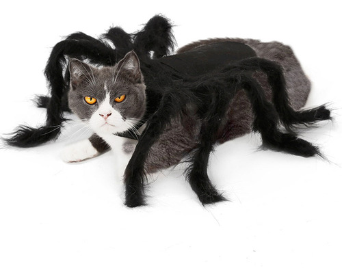T Disfraz De Araña Para Mascotas De Halloween Para Perro