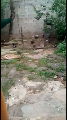Imagen 7 de 13 de Casa Grande Con Titulo Deslindado