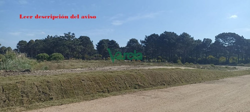 Imagen 3 de 9 de Terrenos Financiados A Pura Cuota En El Pinar Proximos A Gianattassio