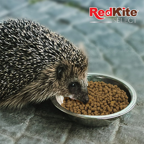 Alimento Para Erizo Premium Select 800g Redkite 4 Pz