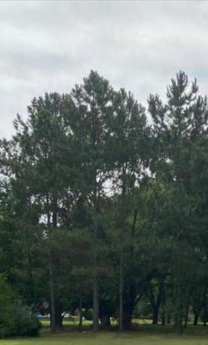 Imagen 9 de 9 de Terreno De 500m2 En Náutico Escobar Country Club - Reservado