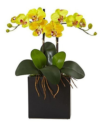 Orquidea Casi Natural Mini Phalaenopsis Seda Doble En Negro 