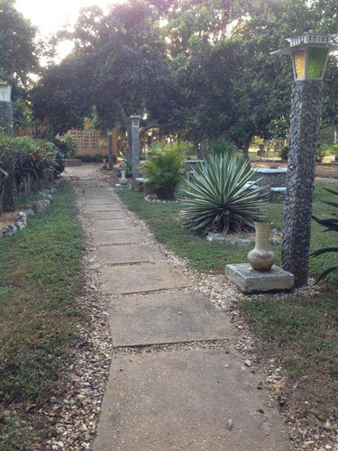 Imagen 10 de 21 de Se Vende Finca Terreno Propio En Taguanes Tinaquillo Edo Cojedes Cod 163349