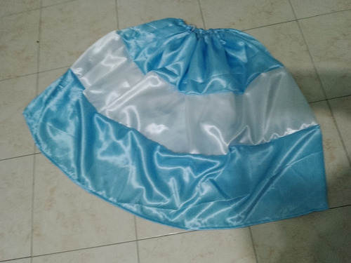 Pollera Raso Brilloso Bandera Argentina Niña De 30 A 70 Cms