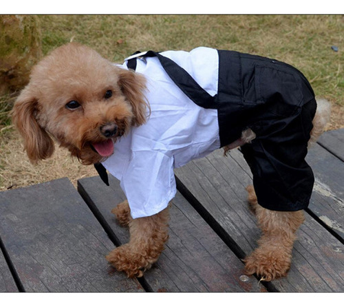 Jk Ropa Elegante For Mascotas Con Corbata Xl