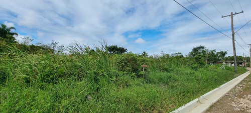 Imagem 1 de 8 de Terreno No Balneário Gaivota Em Itanhaém, Com 384 M² De Área Total