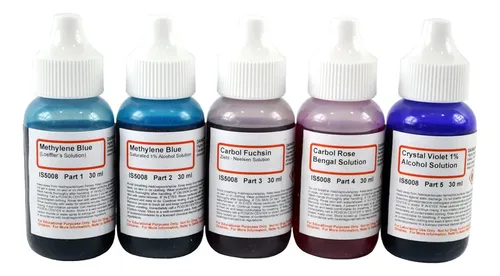 Innovating Science Bacteria Stain Set - 5 Portaobjetos ...