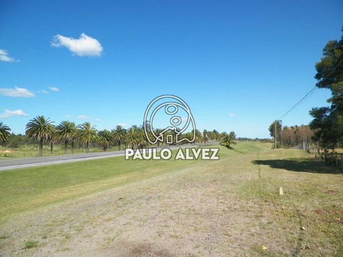 Imagen 2 de 22 de Chacras-venta-cerros-azules-ch064