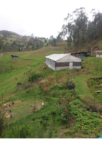 Venta De Terreno, Casa De Campo, Granja, Lote En Hermoso Sector De Cuenca, Punta Corral, Turi