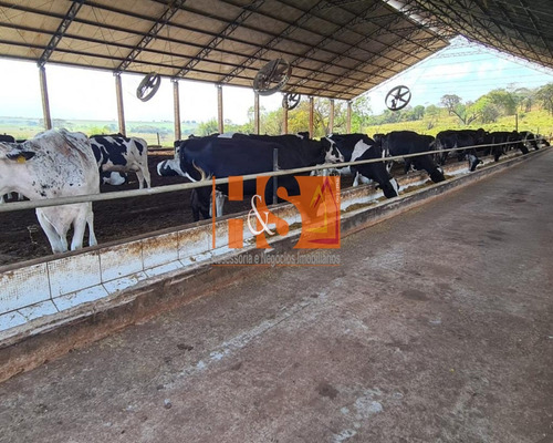 Imagem 14 de 21 de Fazenda - Fa00002 - 69904513