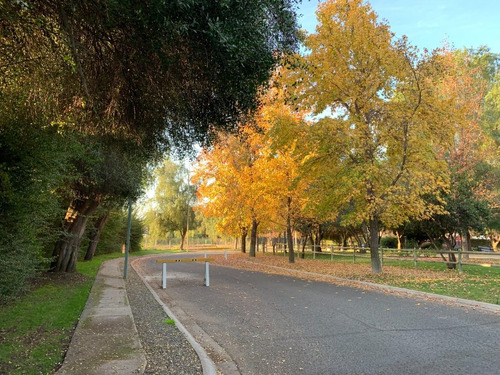 Hermoso Sitio En Condominio Las Campiñas De Chicureo