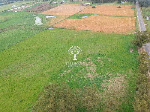 Venta Chacra 5,9 Hectáreas Camino Medellín Y Ruta 104 (ref: Tbr-3183)