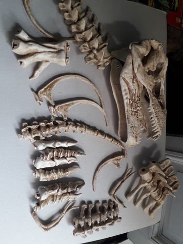 Dinosaurio Para Armar Fascículos Completos Vendo Por Unidad (Usado)