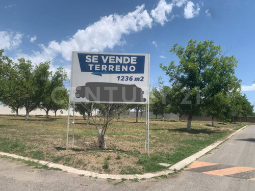 Terreno En Venta, Fraccionamiento San Armando, Torreón, Coahuila.