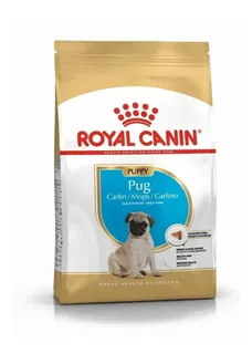 Alimento Pug Puppy Royal Canin 1.1 Kg