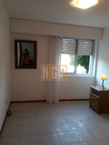 Imagen 5 de 16 de Apartamento En Venta Con Renta En Maldonado +dos Dormitorios +oportunidad